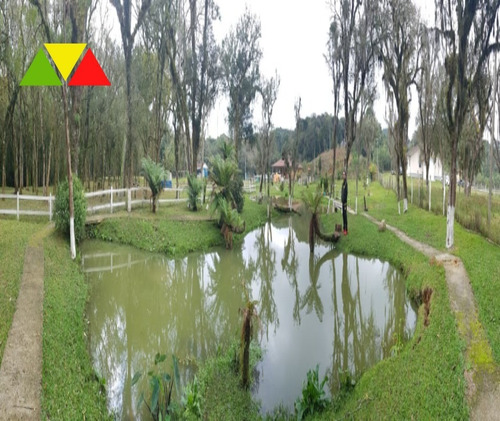 Imagem 30 de 30 de Chácara Em Cai De Baixo - Ch00088 - 34982990