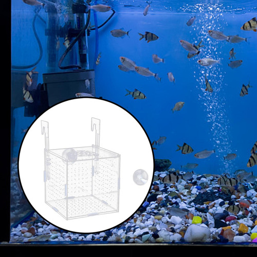 Nuevo Acuario Caja De Aislamiento De Alevines For Guppy