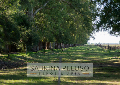 Venta Lote/terreno Plomer