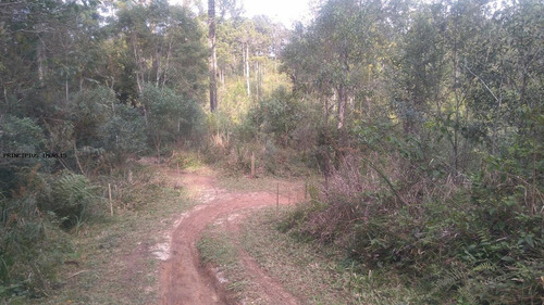 Imagem 7 de 15 de Chácara Para Venda Em Campina Grande Do Sul, Imbuial - 00292_2-1224372