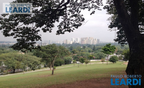 Imagem 12 de 12 de Sobrado - Alto De Pinheiros - Sp - 499610