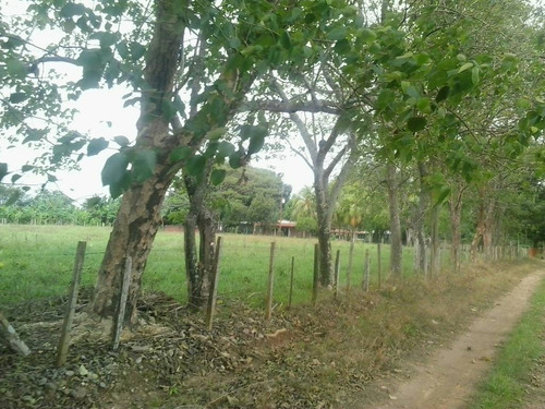 Imagen 3 de 22 de Finca Sector Caroní Estado Barinas En Venta