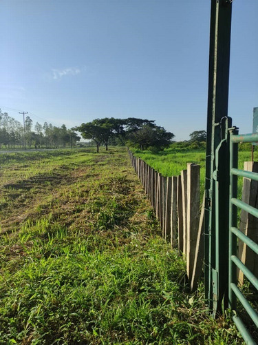 Imagen 7 de 15 de Se Vende Extraordinaria Finca De 1.237 Has. Silvopastoril Y Manufacturera Con Mucho Potencial Representada Por Persona Juridica
