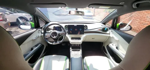 Byd Idolphin