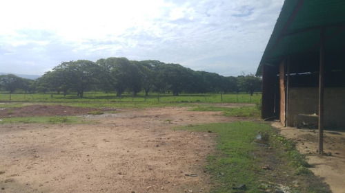 Imagen 12 de 27 de Se Vende Finca Hacienda En Estado Zulia, Ml
