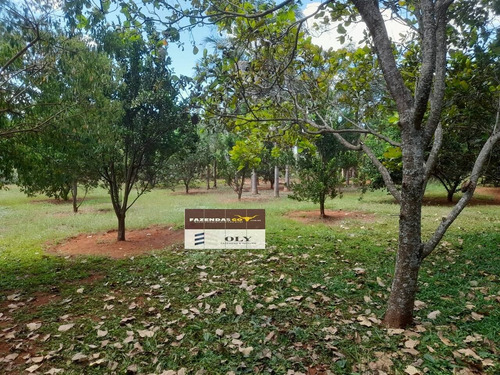 Imagem 10 de 15 de Chácara A 1.200m Do Setor Vale Dos Sonhos ! 3.3 Hectares ! - 302