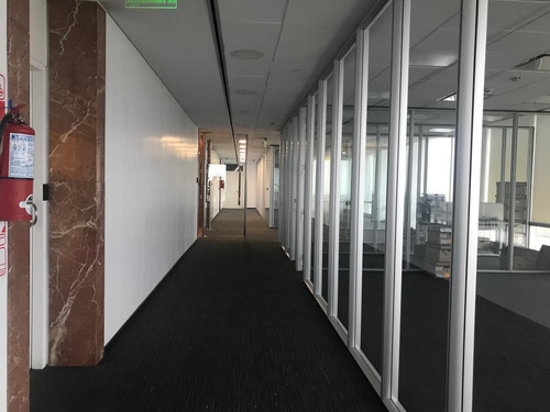Imagen 11 de 14 de Oficina En Alquiler -edificio Puerto Leon, Puerto Madero