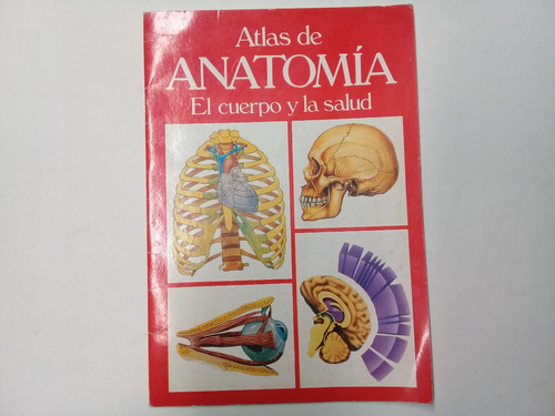 Atlas De Anatomia El Cuerpo Y La Salud