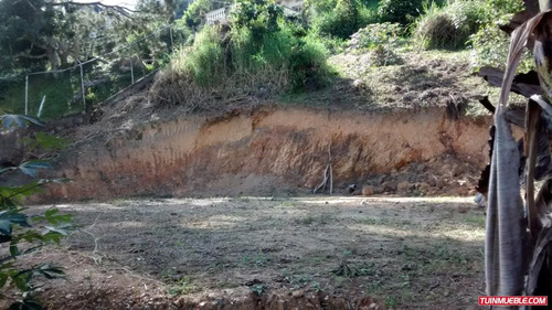 Imagen 8 de 10 de Terreno Venta San Luis La Suiza San Antonio De Los Altos Cf