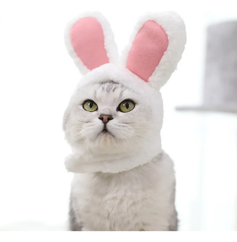 Disfraz Gato De Pascua, Orejas De Conejo Para Gatos Y Perros