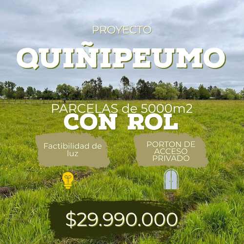 Venta Parcelas Con Rol -praderas De Quiñipeumo- En Linares