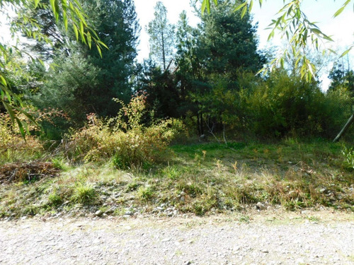 Imagen 12 de 12 de Terreno 450 Mt2 Lago Puelo Con Arboles Autoctonos Cercado