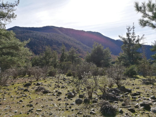 Se Vende 23 Hectareas En El Sector Armerillo, Talca