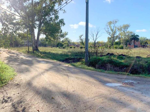 Lote En Venta En Guernica