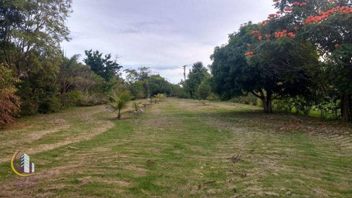 Imagem 7 de 12 de Terreno À Venda 3.800m² - Angra De Antonina/sp - Te0154