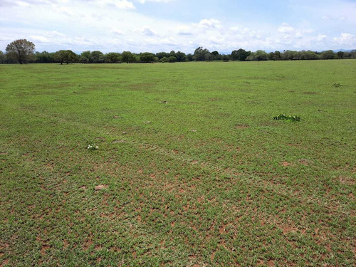 Te Vendo Excelente Finca En Monte Cristi