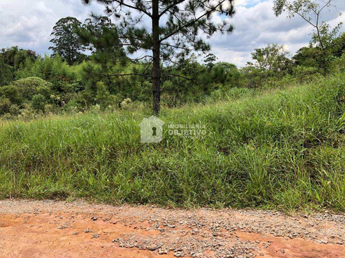 Imagem 5 de 13 de Área 96000m², Brotas (caucaia Do Alt0) - R$ 5.76 Mi, Cod: 4069 - V4069