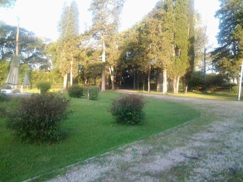 Campo C/ Caballerizas Y Casa Colonial - Villa Elisa