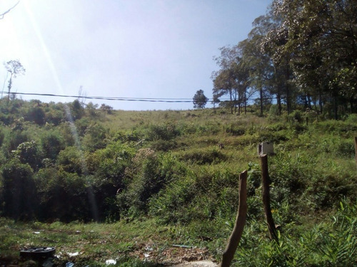 Imagem 9 de 12 de Terreno - Te-27 - 32142525
