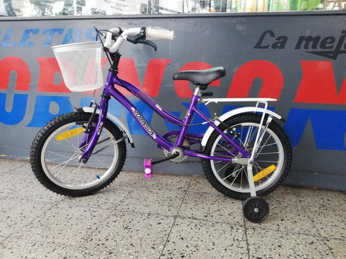Imagen 3 de 3 de Bicicleta Rodado 16 Niña Canasto Y Guardabarros Envios