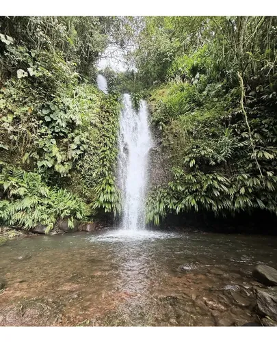 Venta De Finca Cafetera En Fresno Tolima