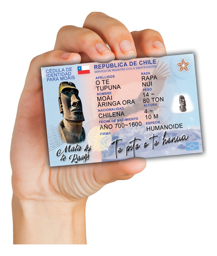 Tarjeta Cédula Típico De Chile Souvenir De Pvc