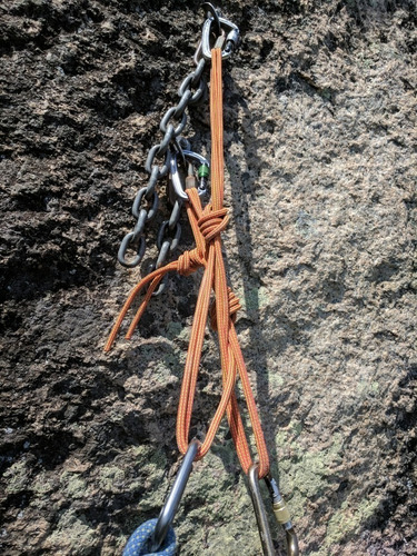 Black Diamond Positron Screwgate Carabiner Mosqueton -3 Pack