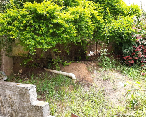 Imagem 5 de 27 de Locação Vila Pauliceia, 2 Casas De 1 Dormitório, Sala, Cozinha, Wc, Lavanderia, 1 Vaga, Quintal E 1 Galpão Grande - Ml66 - 69391179
