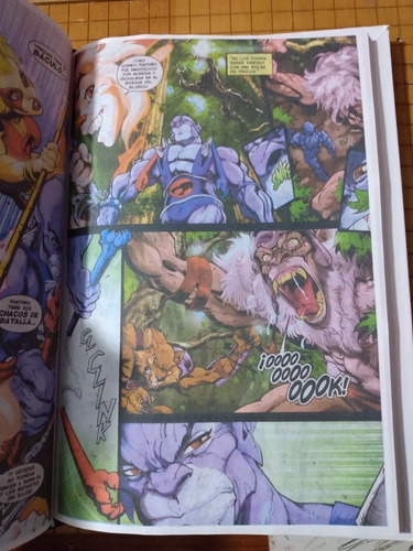 Imagen 5 de 7 de Paquete Thundercats Todos Los Comics En Español