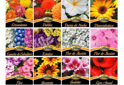 Semillas Florales Combo De 10 Sobres A Elección