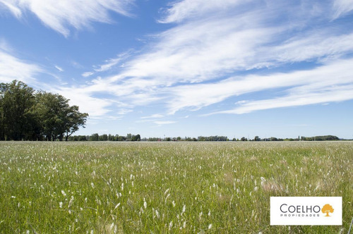 Imagen 2 de 30 de Terreno - Carmen De Areco