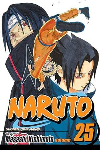 Naruto #25 Panini Manga