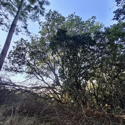 Terreno En Exclusivo Condominio En Matanzas