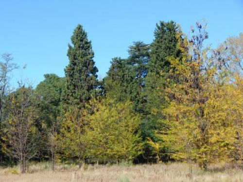 Terrenos O Lotes Venta Nono