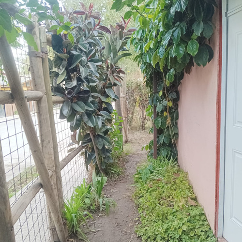 Propiedad A La Venta En Rafael Sotomayor, Comuna De Lampa.