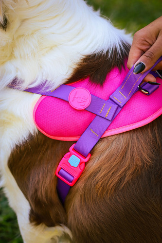 Coleira Para Cãe Meuauau Safe New Pink Tamaño M