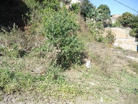 Lote Para Comprar No São Damião Em Vespasiano/mg - 227