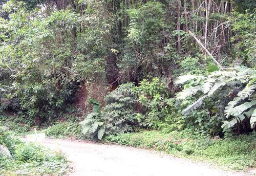 Imagem 1 de 4 de Terreno À Venda, 1475 M² Por R$ 140.000,00 - Pendotiba - Niterói/rj - Te2798