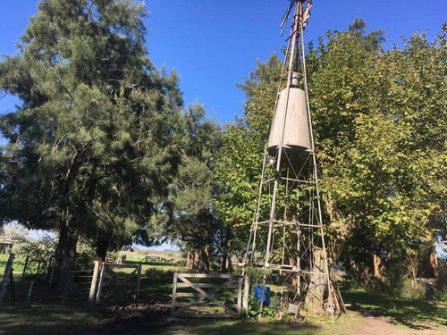 Imagen 14 de 22 de Campo En Venta En Arditti | Ruta 11-km 57