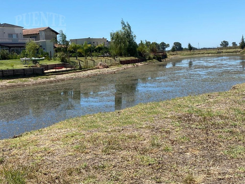 Imagen 3 de 13 de Terreno - Los Talas Con Fondo A La Laguna - Canning - Ezeiza - Lote Al Agua