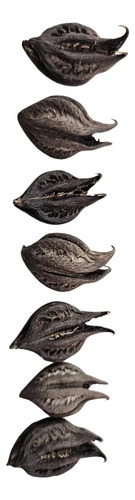 Garra De Pombo Gira- Umbanda, Candomblé.