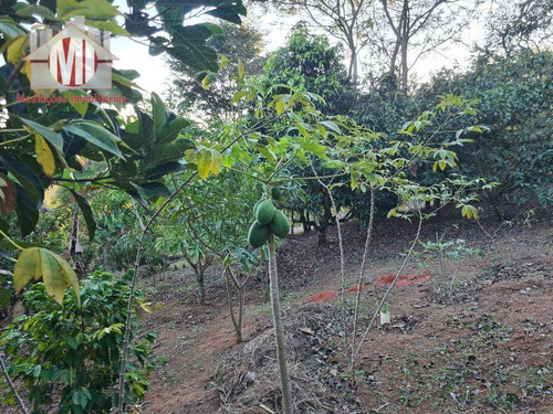 Imagem 14 de 30 de Ótima Chácara Com 4 Dormitórios, Edícula, Salão De Jogos, Pomar, Horta, Bem Localizada, À Venda, 5000 M² Por R$ 630.000 - Zona Rural - Pinhalzinho/sp - Ch0984
