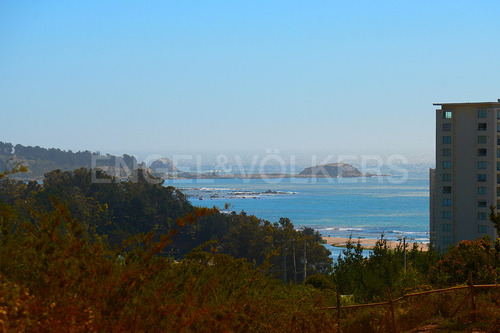 Sitio Plano 2200m2 Urbanizado.