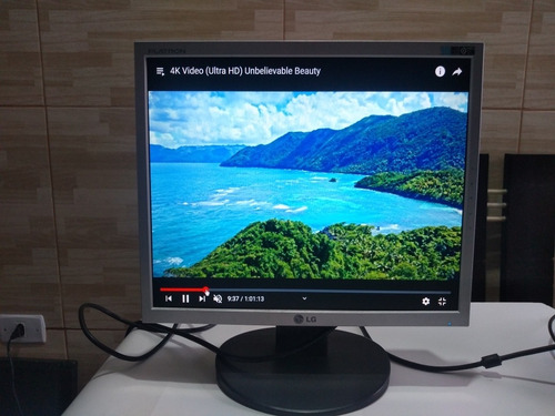 Monitor Lg 17 Polegadas Entradas Vga E Dvi Usado!!! (Usado)