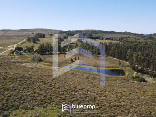 Imagen 4 de 10 de Chacra En Venta Con Vistas A La Laguna Del Sauce Y Tajamar Propio.