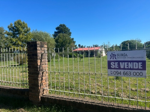 Venta De Casa En Salto - Zona Dayman- Gran Terreno.