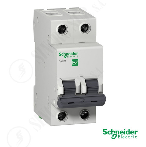 Llave Termica Bipolar 2x40 40a 40 Amperes Amp Schneider Electric Monofasica Termomagnetica