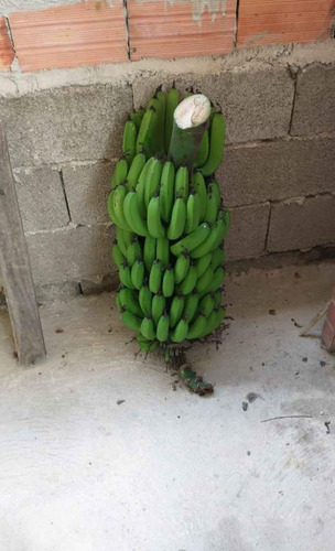 Imagem 6 de 19 de Pj Chácara A Venda