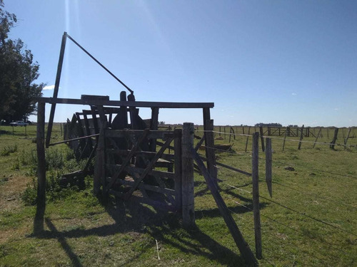 Vendo Campo De 226 Ha