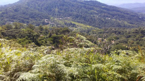 Imagen 5 de 10 de Granja En Santa Anita Vía Rubio